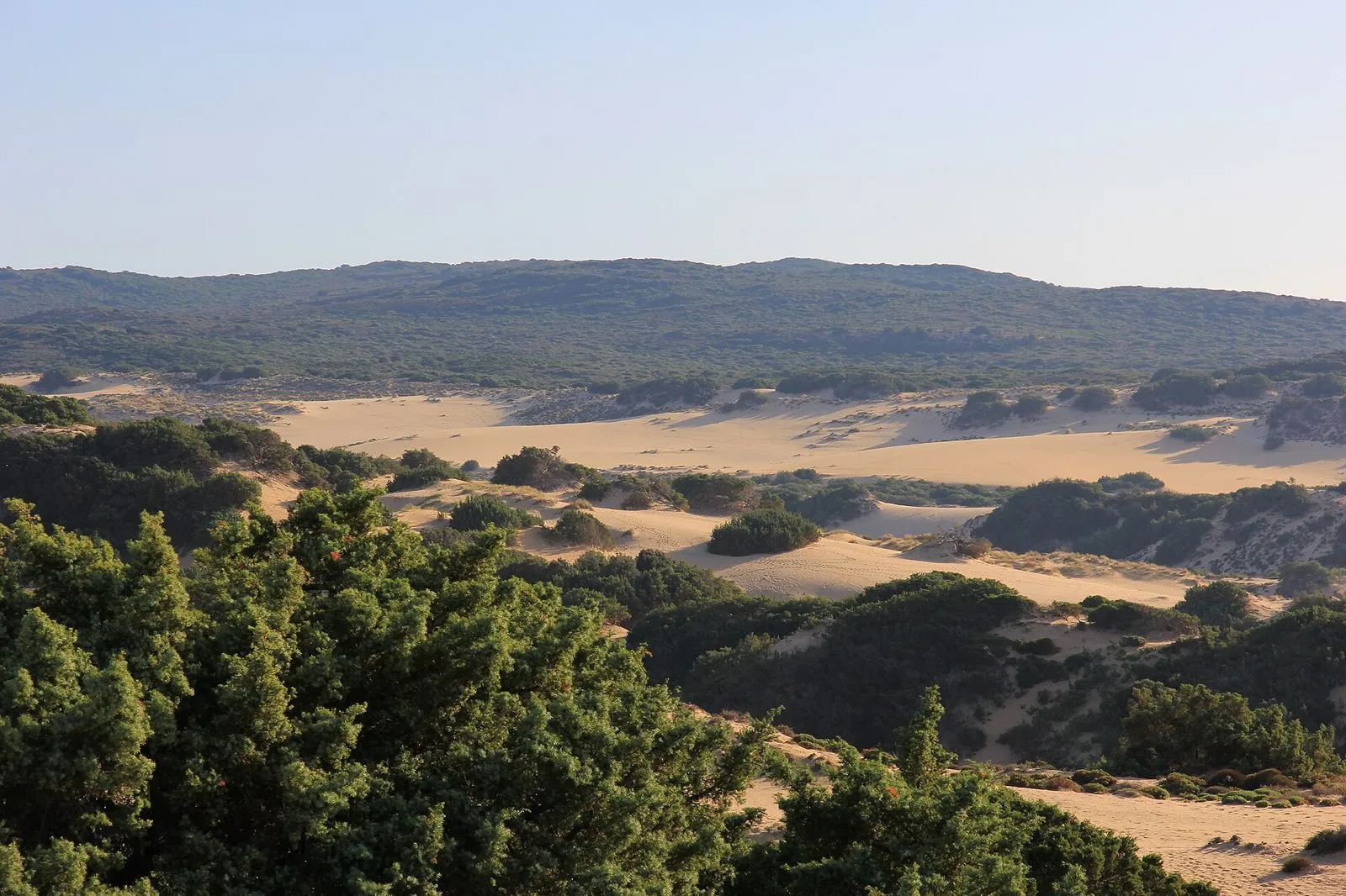 Piscinas Dunes — Arbus (Costa Verde)